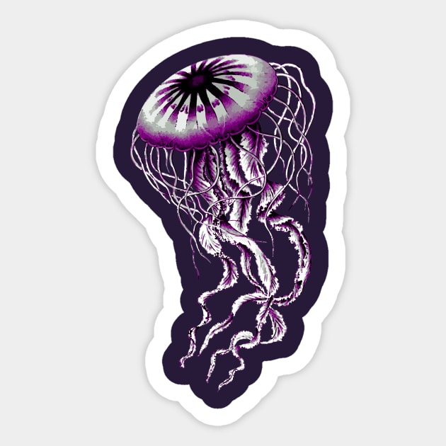 Asexual Pride Jellyfish Sticker by VernenInk